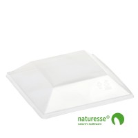 PLA Låg, Klart (16x16cm) - 50 stk pk